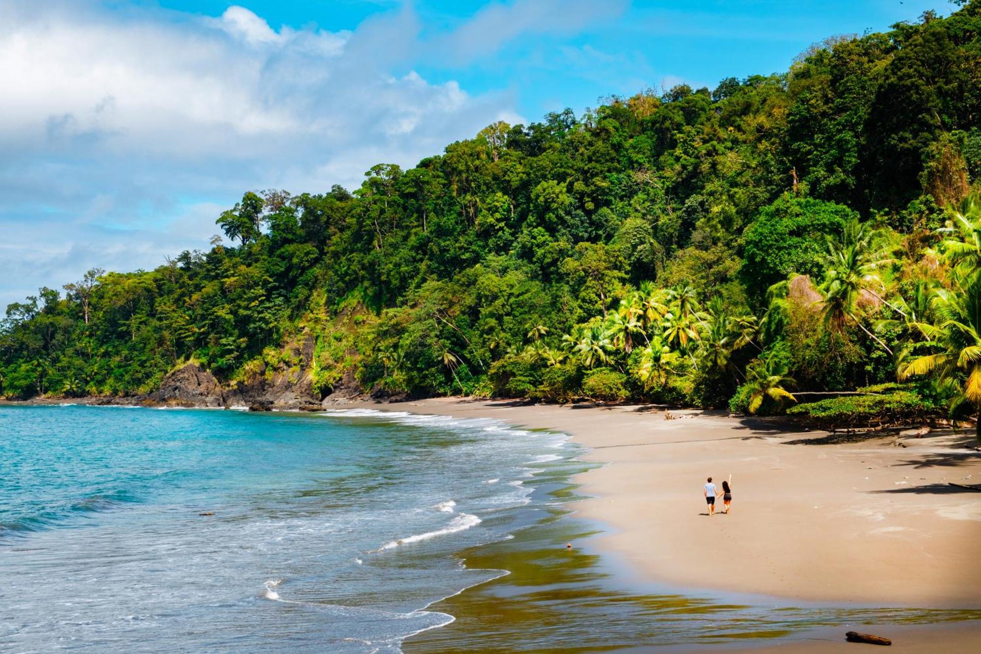 Corcovado Wilderness Lodge By Scp San Pedrillo Exterior foto